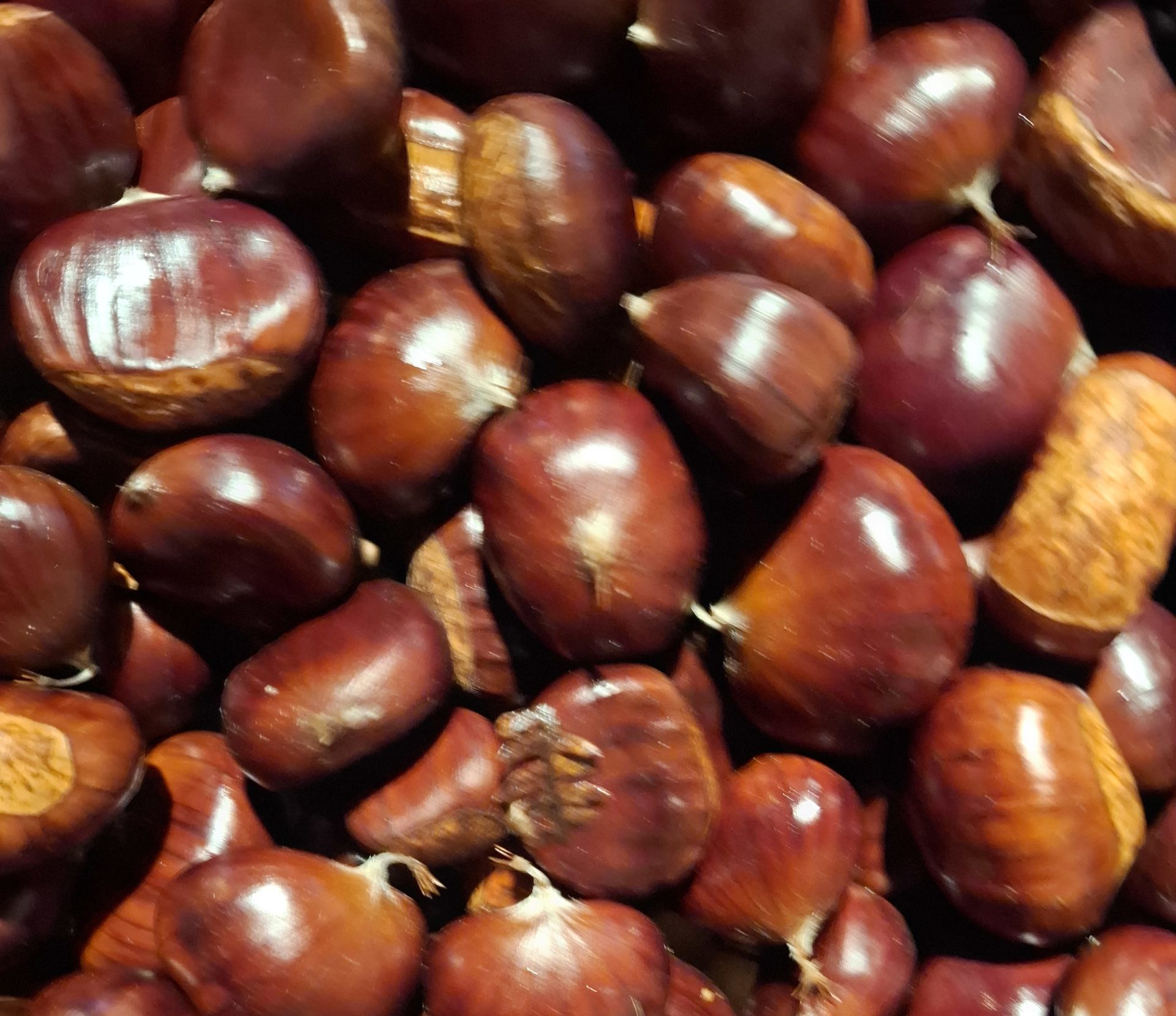 20241019_182040 Semences des Montagnes