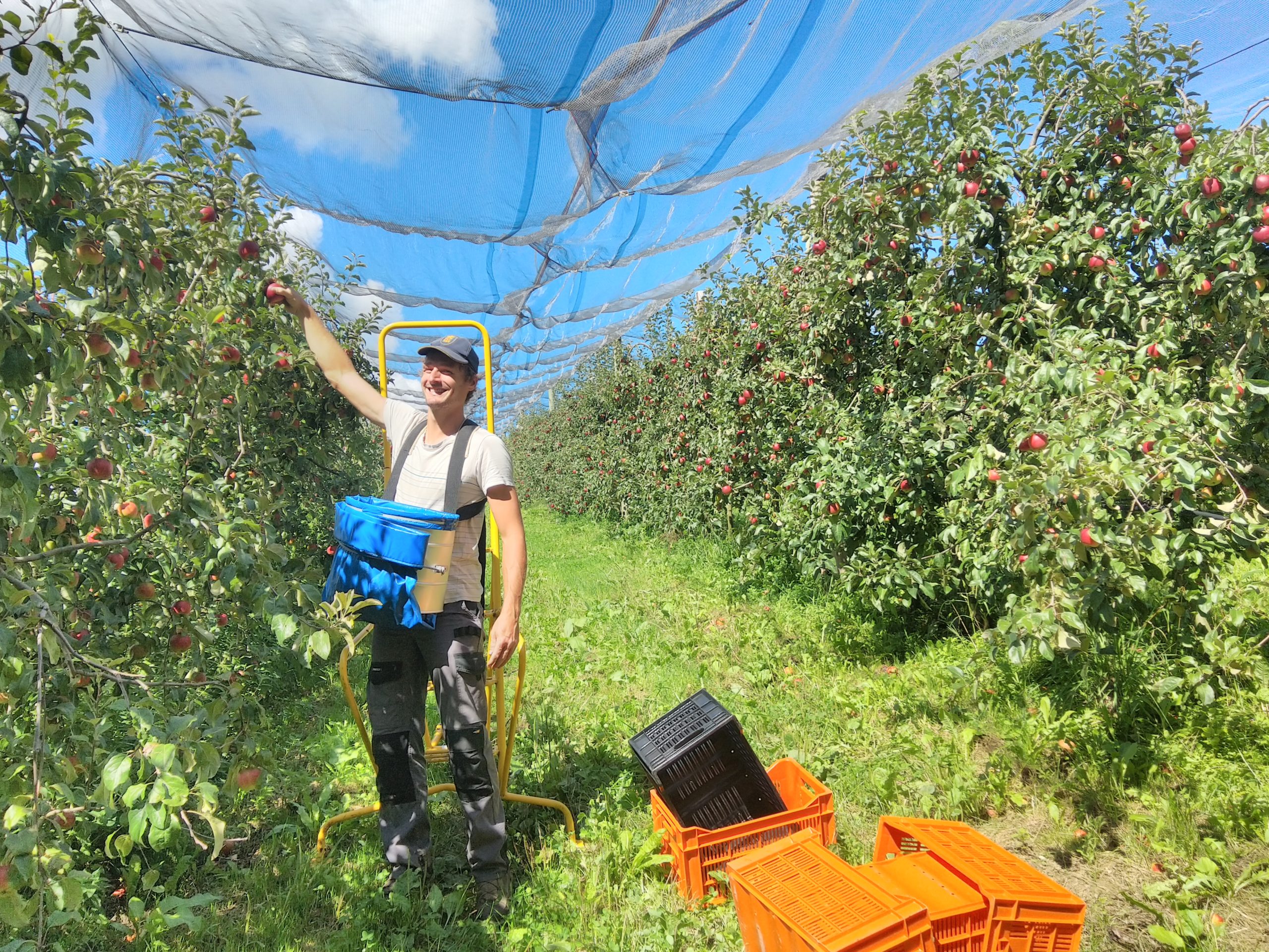Fromage de chèvre à Saint Jean d'Aulps 