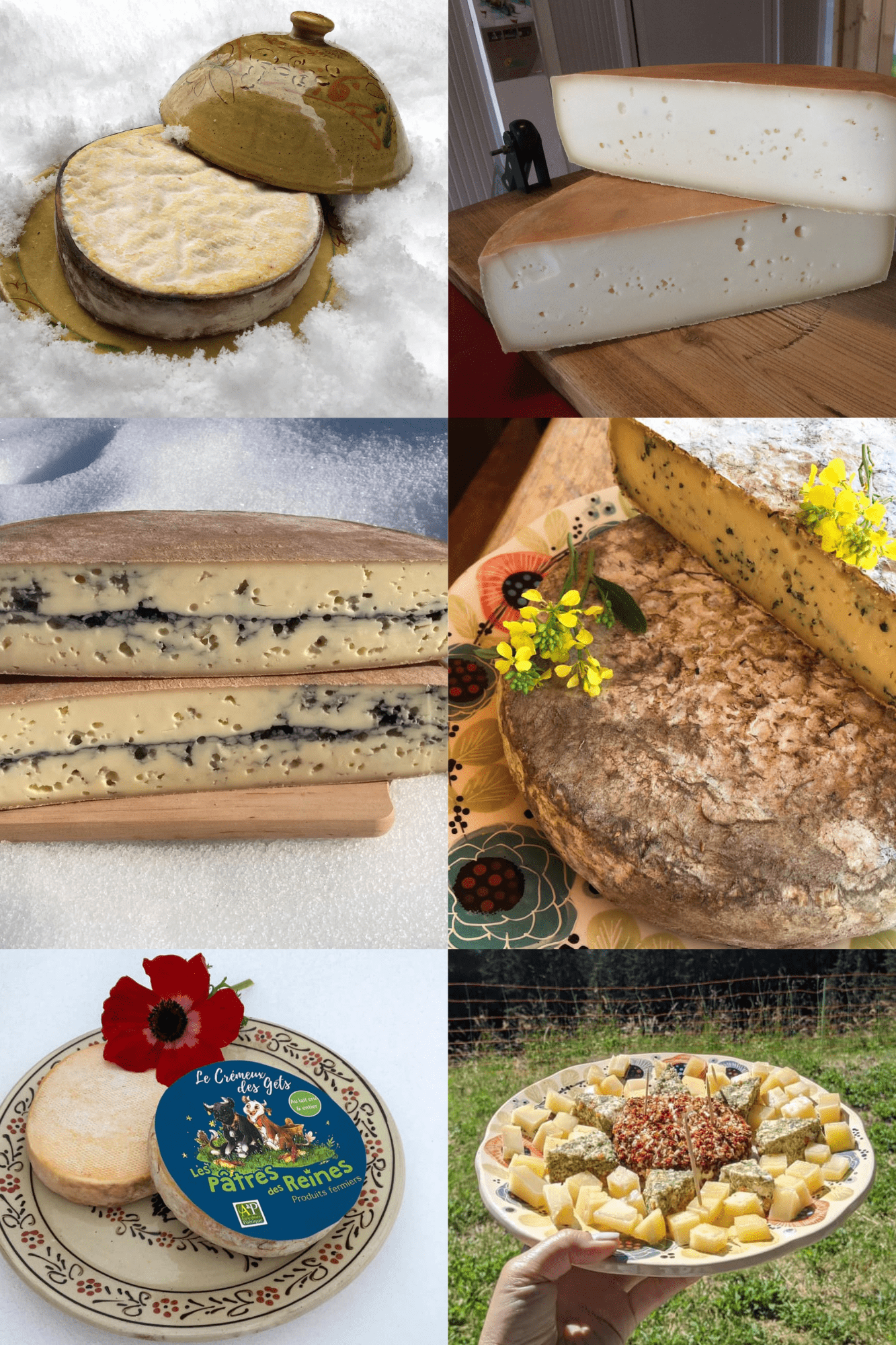 Montage photos fromages Fromage Les Pâtres des Reines